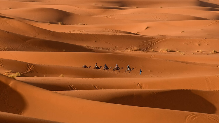 قافلة جمال بين كثبان صحراء مرزوقة