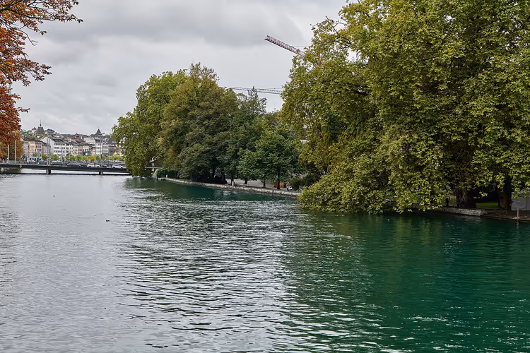 Limmat in Zürich mit Bäumen und einer Brücke
