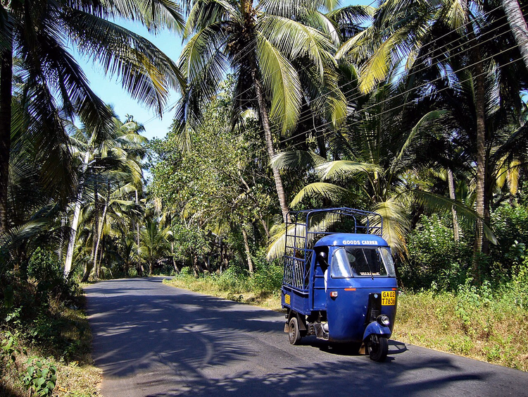 Palmengesäumte Straße mit einer Motorrikscha in Goa