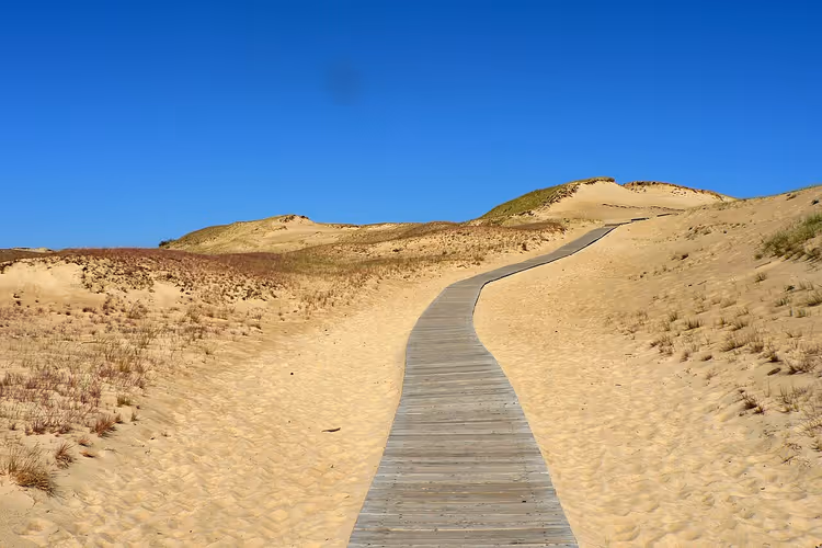 Ahşap yürüyüş yoluyla Curonian Spit'in kum tepeleri