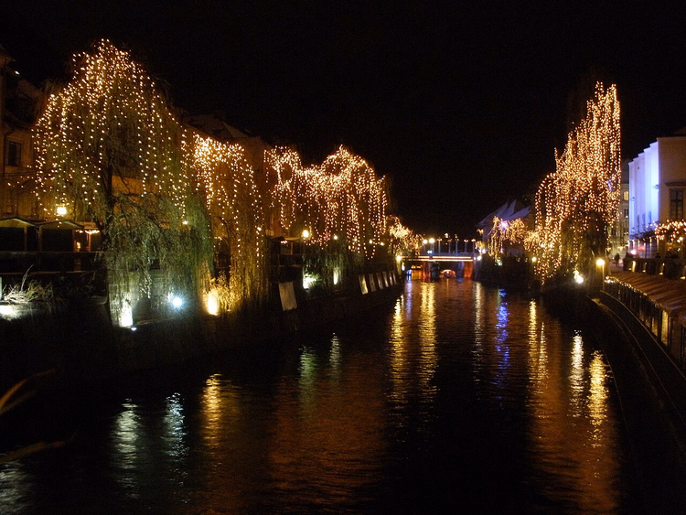 Ljubljanica bei Nacht, Weiden im Lichterglanz