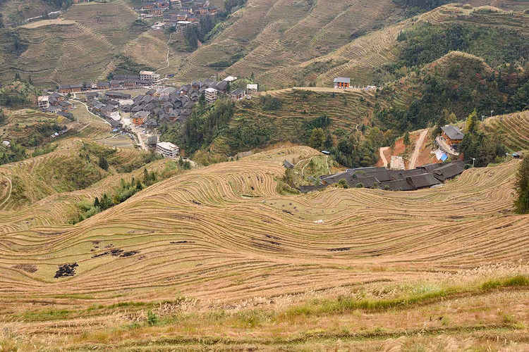 Longji-Reisterrassen in Guangxi