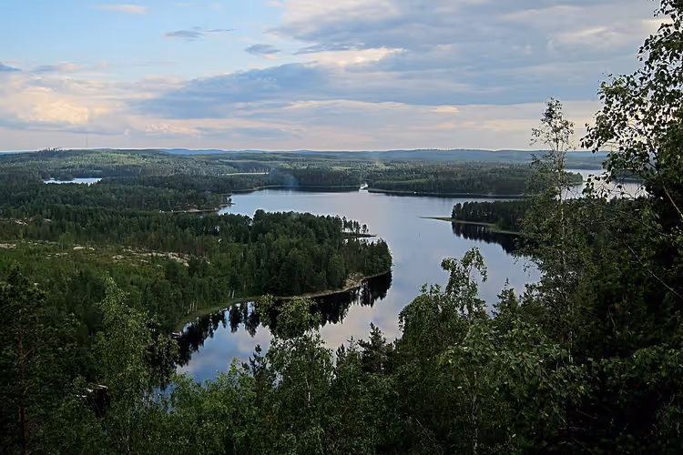 Skogssjø med øyer og viker sett fra en ås