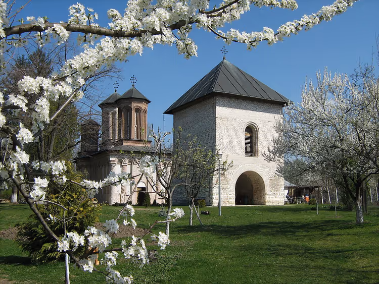 Det hvite Snagov-klosteret i vårblomstring