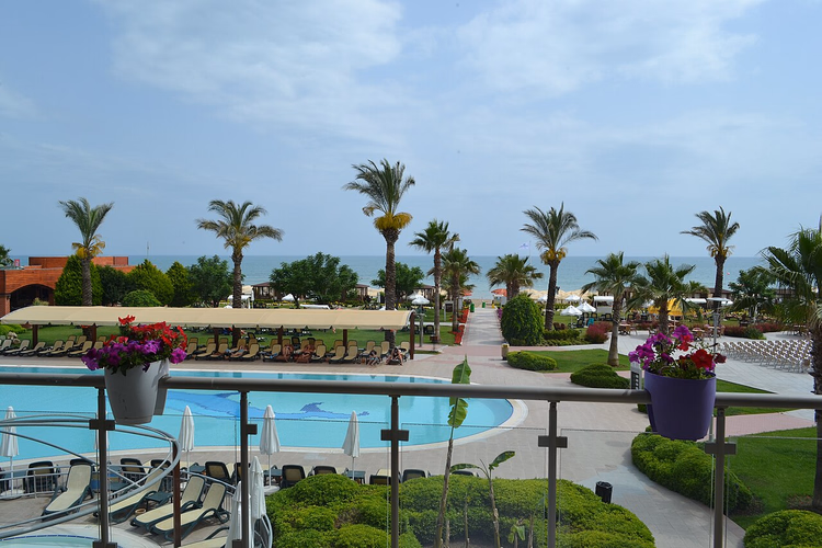 Pool, Palmen und Strand mit Liegen am Meer