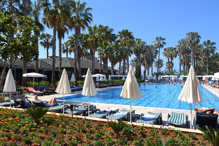 Otel arazisinde şezlonglu ve palmiyeli havuz