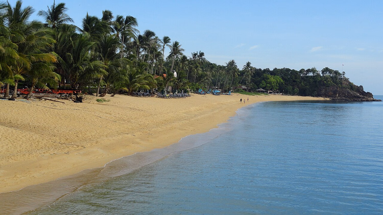 Sandy Maenam Beach with palm trees and a headland
