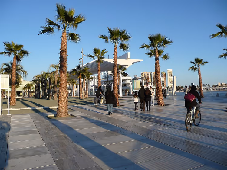 Palmekledd promenade i Malaga med hvite solseil