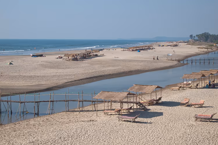 Mandrem Beach met ligstoelen en rieten parasols