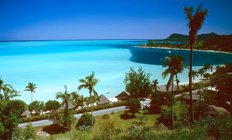 Bora Bora'da palmiye ağaçları ve bungalovlarla turkuaz lagün