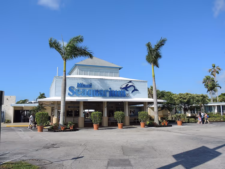 Entrée principale du Miami Seaquarium avec enseigne et palmiers