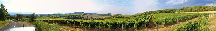 Weinstraßen und Radwege bei Mikulov