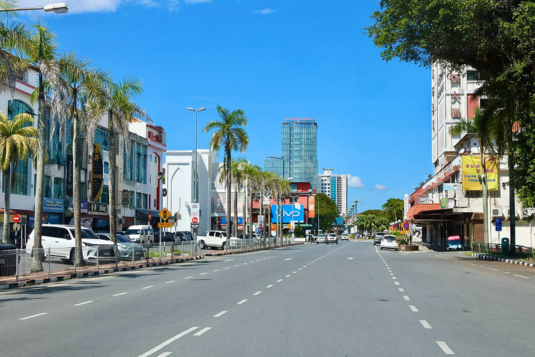 Grande rue bordée de palmiers au centre de Miri
