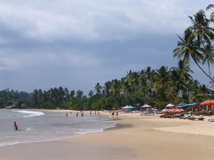 Strand van Mirissa met palmbomen en parasols