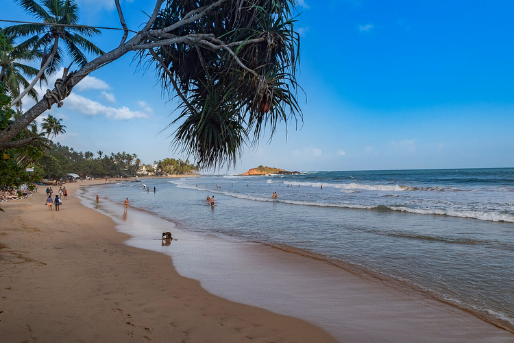 Mirissa Beach met palmbomen en toeristen die zwemmen