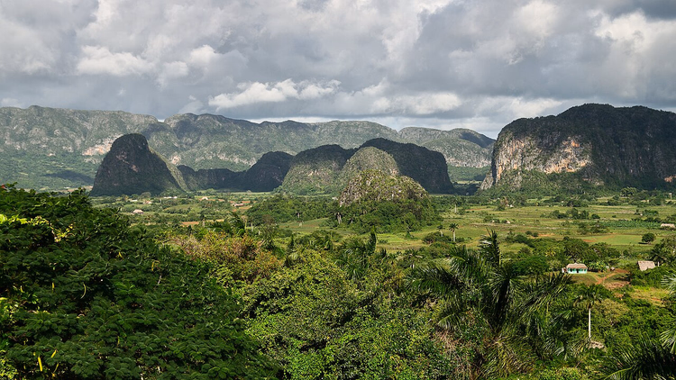 Vinales Vadisi'nin mogoteleri ve yeşil tarlaları