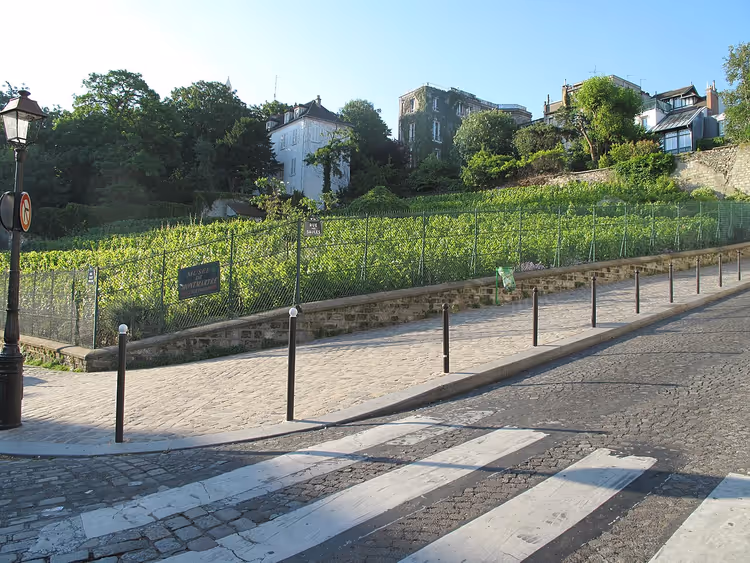 Çitin ardındaki yamaçta Montmartre bağı