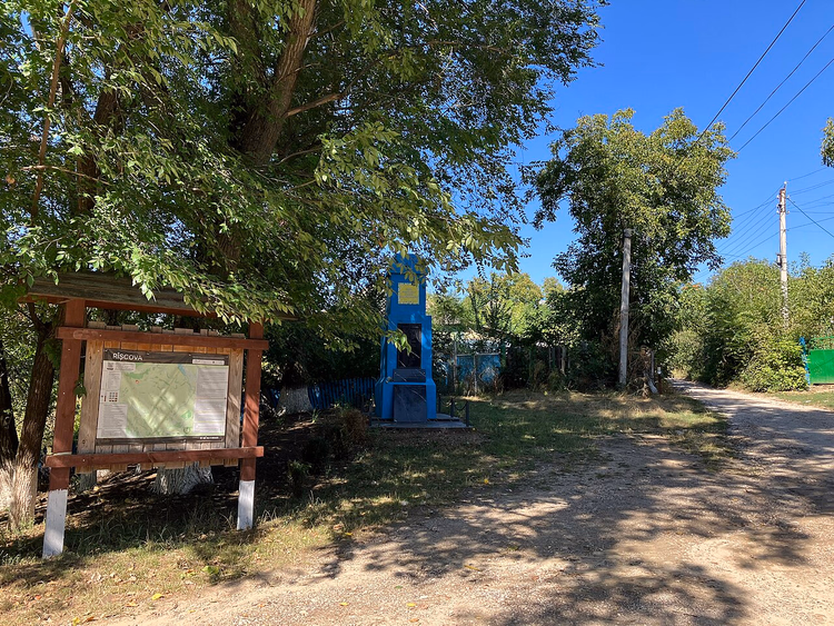 Yazın Ryshkovo'da gölgeli bir köy sokağı