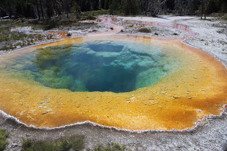 Morning Glory - fargerikt termisk basseng i Yellowstone