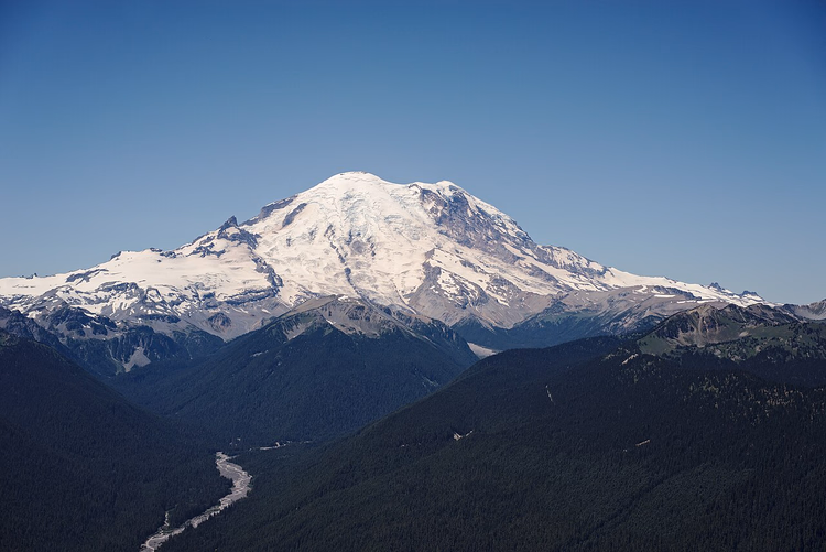 Schneebedeckter Mount Rainier über einem bewaldeten Tal
