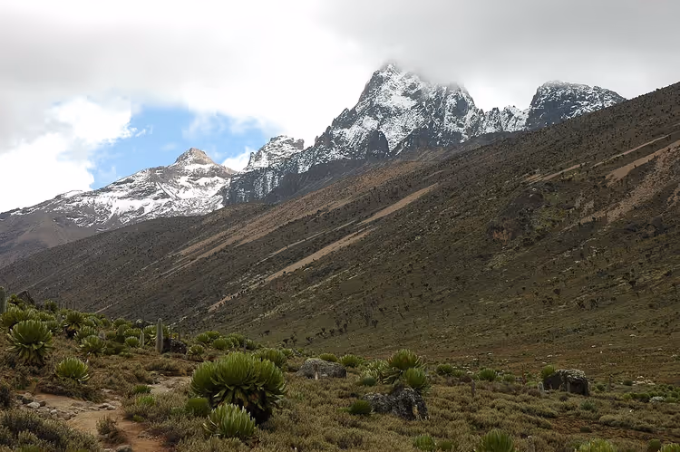 Snødekte topper på Mount Kenya over en alpindal