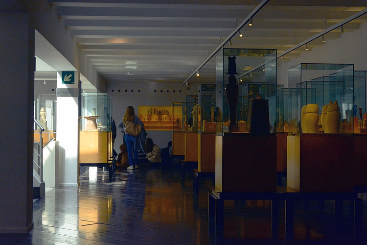 Eser vitrinleriyle Mısır Müzesi salonu