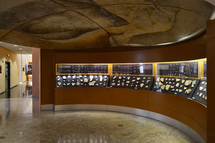 Sala de museu com vitrinas e placas de pedra