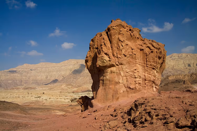 Timna Vadisi'nde mantar kaya