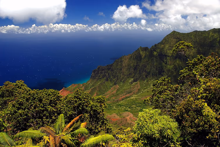 Green cliffs of the Napali Coast above the ocean