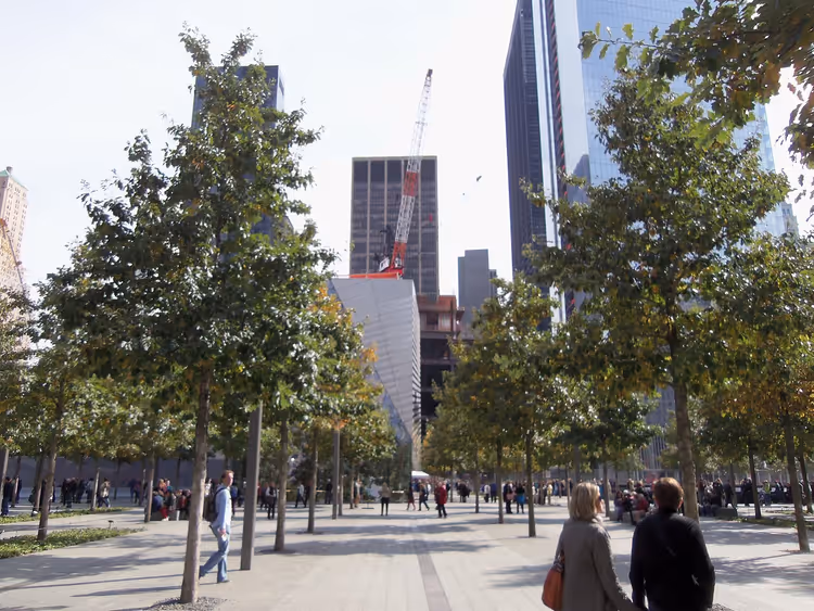 9/11-minnesmerkets plass med trær og museum