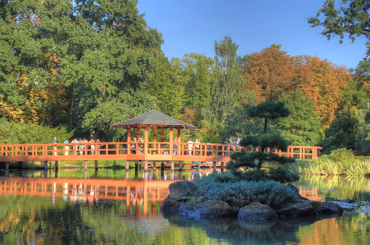 Trebro med paviljong over en dam i den japanske hagen