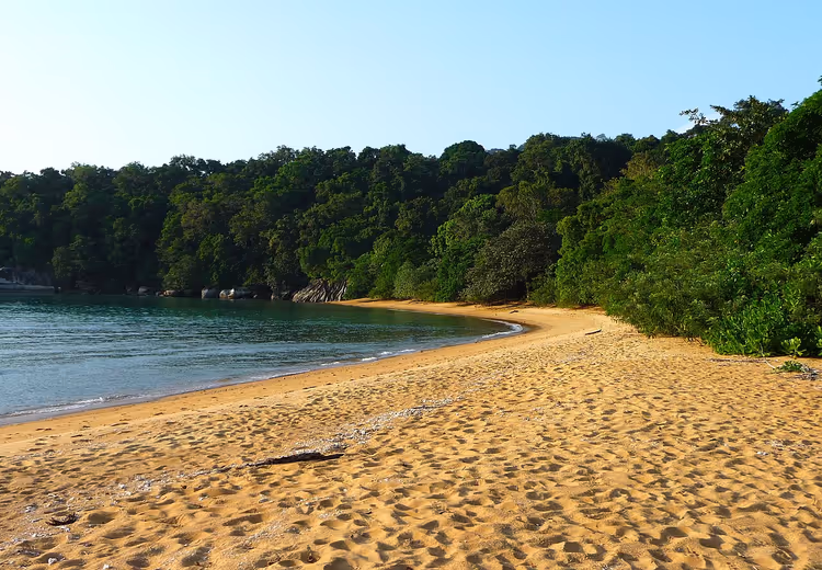Zandstrand met turquoise water en jungle
