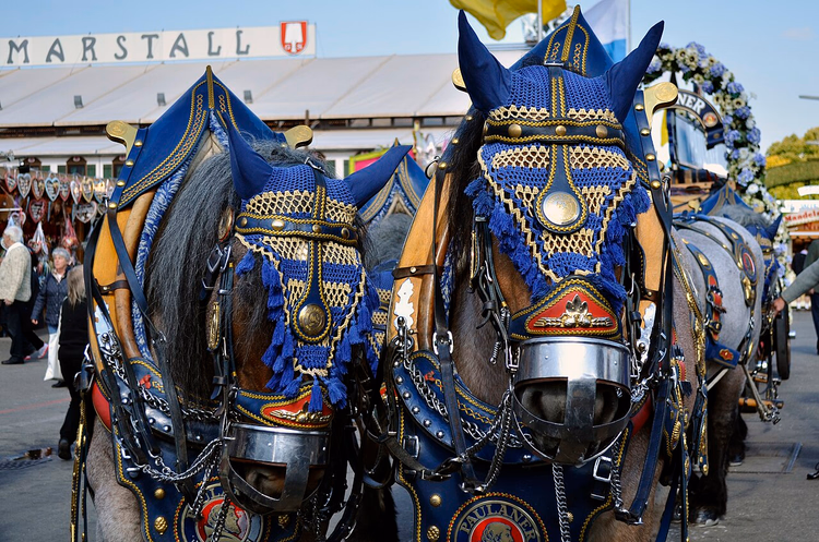 Paulaner-brouwerijpaarden in paradetuig op het Oktoberfest