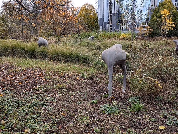 Herbstlicher Park in Brüssel mit Laub