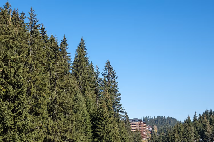 Hotel zwischen hohen Fichten in Pamporowo
