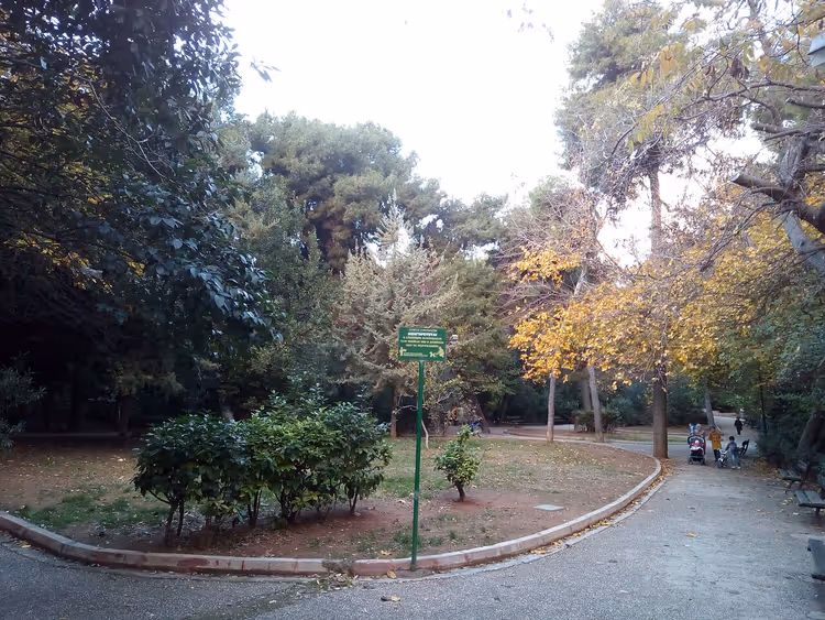 Grüner Park mit Weg und Bäumen