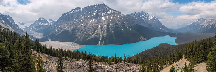 Den turkise Peyto-sjøen i fjellene i Canada