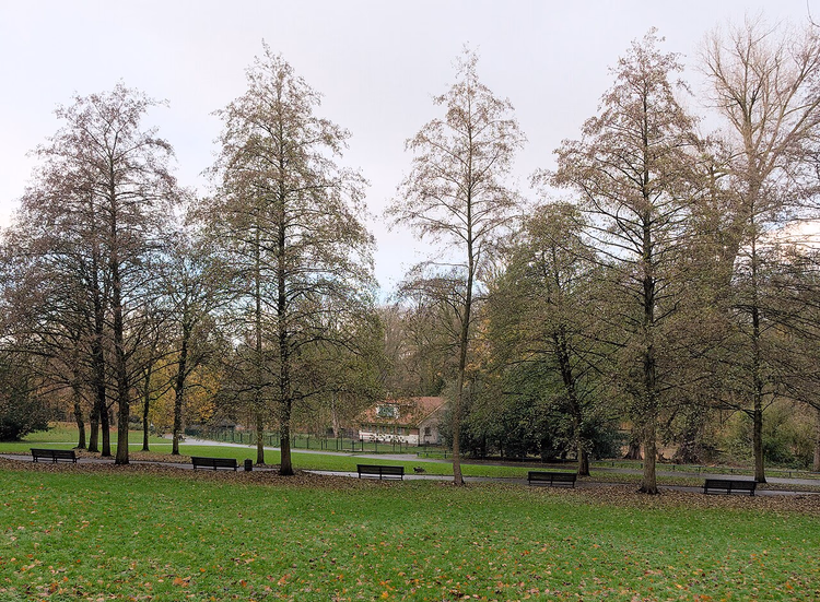 Herfstgazon met banken in het Josaphatpark