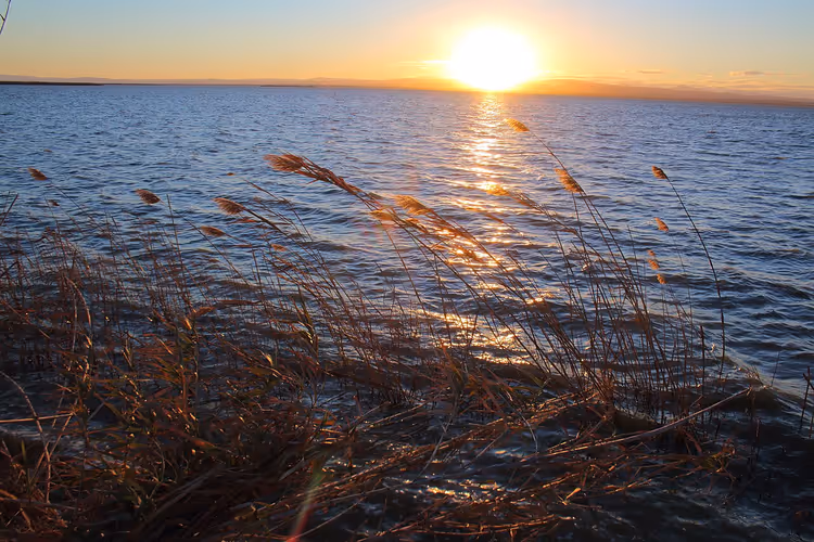 Sazlarla Albufera lagünü üzerinde gün batımı