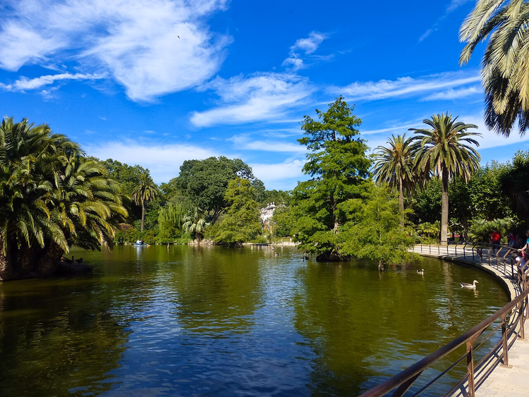 Ciutadella Parkı'nda palmiyelerle süslenmiş gölet