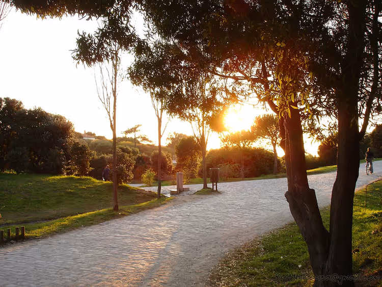 Sti i Porto bypark i solnedgang
