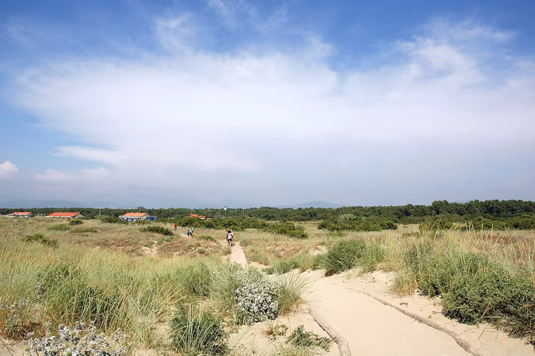 Toskana'da kumullar ve Viareggio plajı