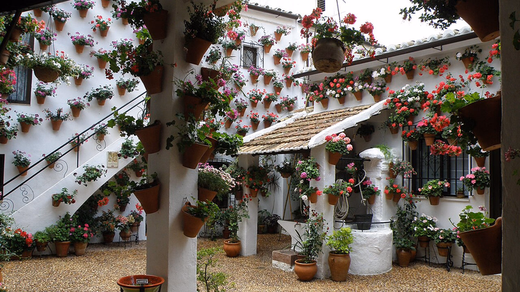 Patio de Cordoue aux murs couverts de pots de fleurs