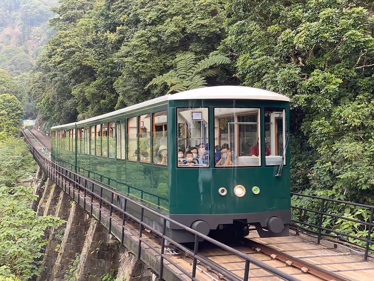 Ormanın içinden tırmanan yeşil Peak Tramvayı