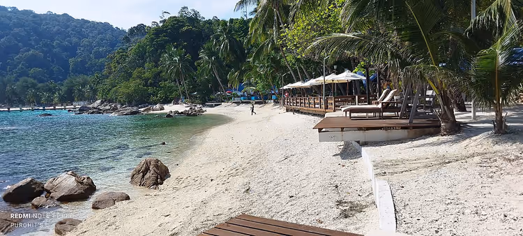 Teluk Pauh Beach met hotel en palmbomen