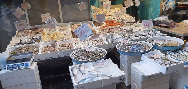 Fiskedisk med sjømat på is
