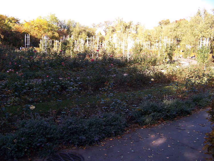 Rozenperken en leifruit in de Rozentuin op de Petrin-heuvel