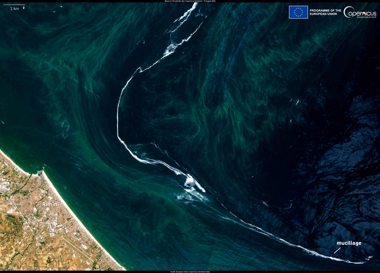 Satellietbeeld van de Adriatische Zee voor de kust van Rimini
