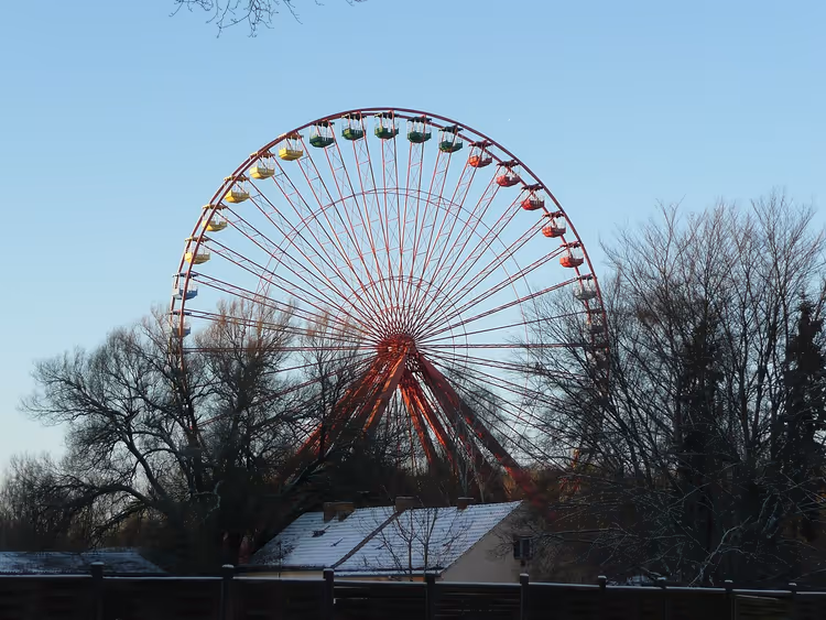 Spreepark'ta kış ağaçları arasında dönme dolap