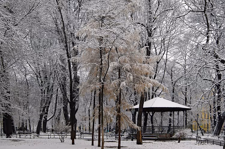 Parc Planty enneigé avec un kiosque à musique en hiver